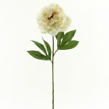 30.5" LARGE PEONY W/3LVS CRM