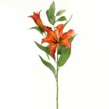 35" CASABLANCA W/2 BUD ORANGE