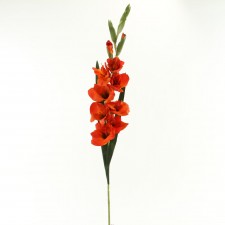 40" GLADIOLUS ORANGE