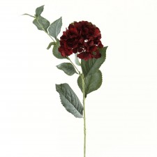 31" HYDRANGEA BURGUNDY