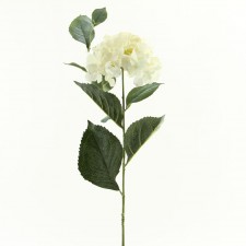 31" HYDRANGEA CREAM