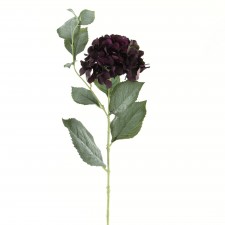 31" HYDRANGEA PLUM
