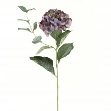31" HYDRANGEA PURPLE