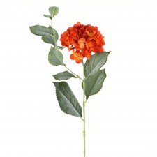31" HYDRANGEA ORANGE