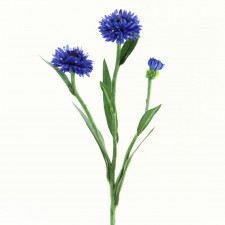 21.5" CORN FLOWER BLUE