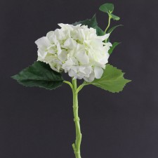 15" HYDRANGEA WHITE