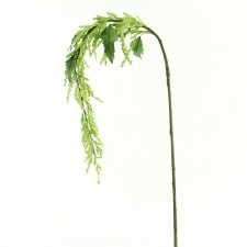 50" AMARANTHUS SPRAY GREEN