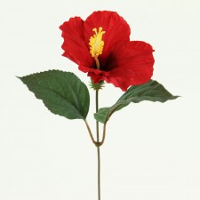 10.5" HIBISCUS PICK X1 RED
