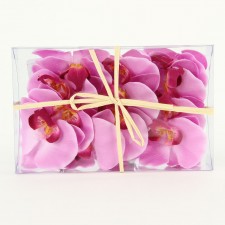 8" PHALAENOPSIS 12/BX LT.PRPL