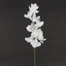 36" CYMBIDIUM SPRAY X12 WHITE