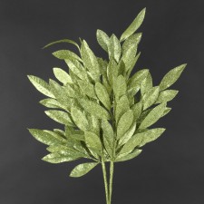 24"GLT.BAY LEAF SPRAY A4