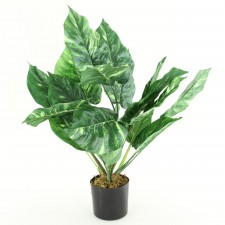 28" POTHOS PLANT POTTED GRN