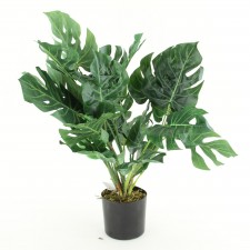 28" SPLIT PHILO POTTED GRN