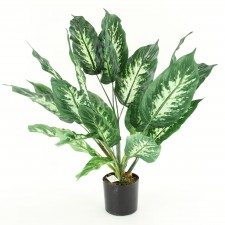 28" DIEFFENBACHIA POTTED GRN