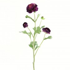 26" RANUNCULUS SPRAY X4