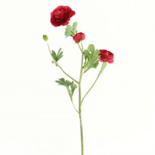 26" RANUNCULUS SPRAY X4