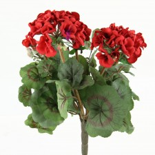 15" GERANIUM BUSH X5 RED