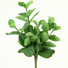 10" MENTHA BUSH GREEN