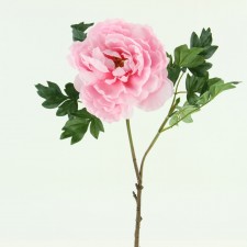 19" PEONY SPRAY PINK