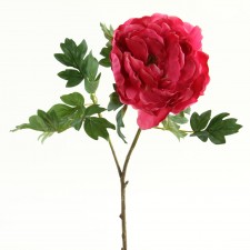 19" PEONY SPRAY ROSE PINK