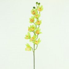 33" ORCHID STEM LIME/GREEN