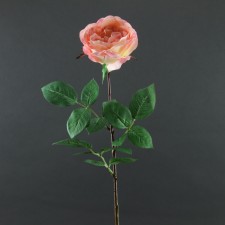 30" ROSE W/3LVS A25