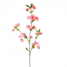35" PEACH BLOSSOM SPRY A25