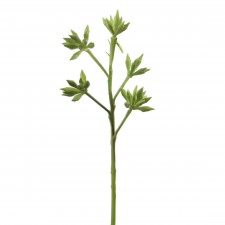 13.5" EUCALYPTUS SEEDS SPRAY X