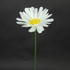 10.5" DAISY CREAM
