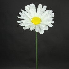 15" DAISY CREAM