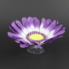 DAISY W/SUCTION CUP PURPLE