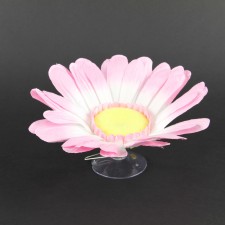 DAISY W/SUCTION CUP PINK