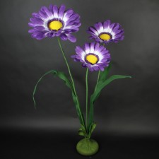DAISIES W/BASE PURPLE
