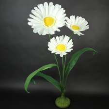 DAISIES W/BASE CREAM