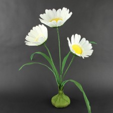 DAISIES W/BASE CREAM