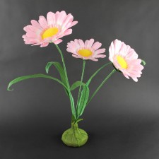 DAISIES W/BASE PINK