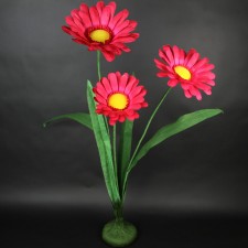 DAISIES W/BASE MAGENTA