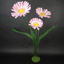 DAISIES W/BASE PINK