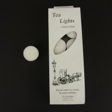 .5"X1 3/8"T-LITES 12BX/CS