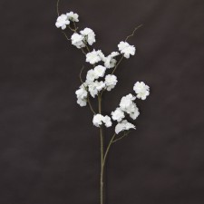 50" CHERRY BLOSSOM CREAM