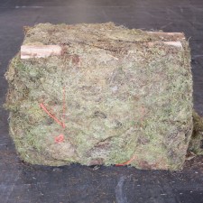 OREGON MOSS 25LB BALE