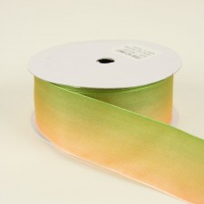 1 3/8"X10YD OMBRE/WIRE RIBBON