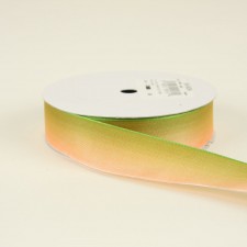 7/8"X10YD OMBRE/WIRE RIBBON