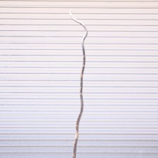 6' - 7' CURLY WILLOW POLE