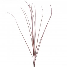 YUCCA STICKS 12/PKG A6 DI