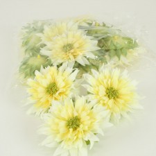 FLOWER HEAD 12PC/BG CREAM