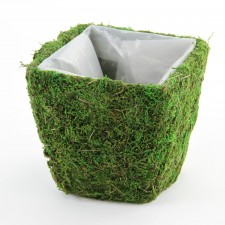 6" SQUARE POT S1