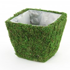6.75" SQUARE POT S2