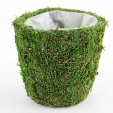 6"X6" ROUND POT S1
