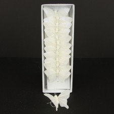 3" BUTTERFLY WHITE 12/BX